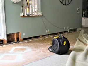 Water dry out from water damage